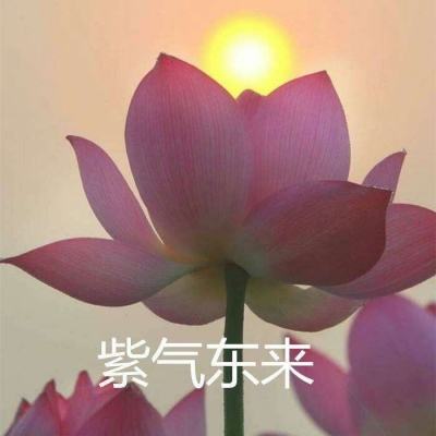 新三国志挂机百度客户端下载